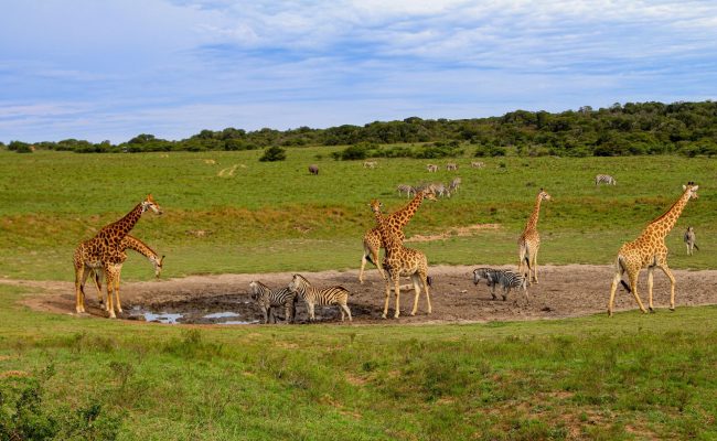 imageye___-_imgi_1_yoni-kozminski-zZQz_RZxJCE-unsplash-min